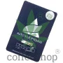 Cannabis seeds Auto BLUE PYRAMID from Pyramid Seeds